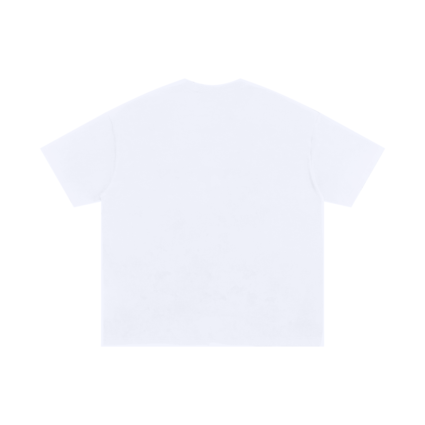 zaxt CAPTCHA oversized t-shirt